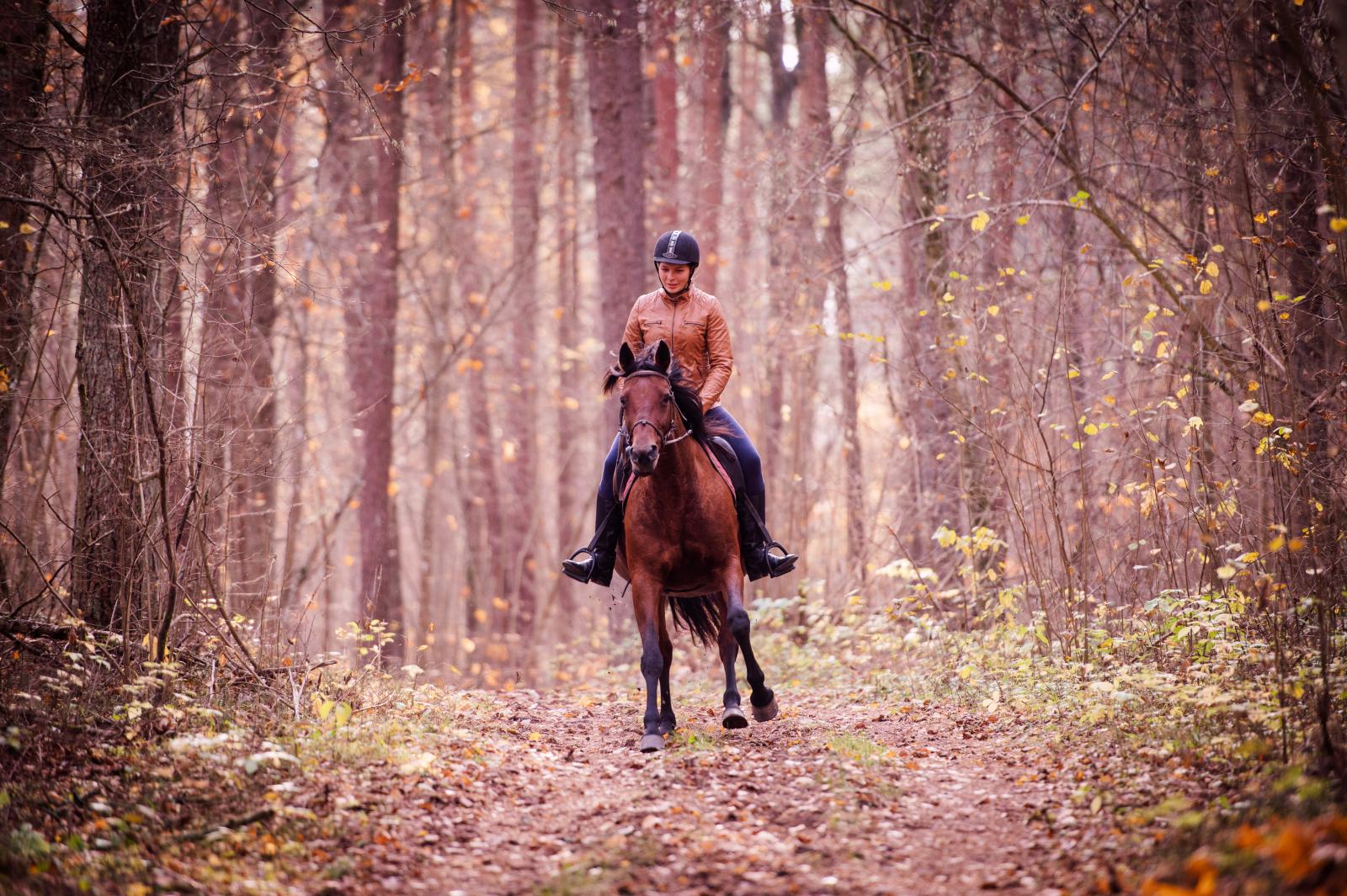 Liepa Julija. Molėtų žirgai