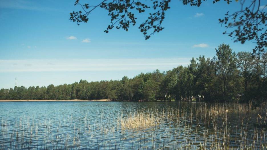 Kviečiame į rašytojų rezidenciją Molėtų krašte