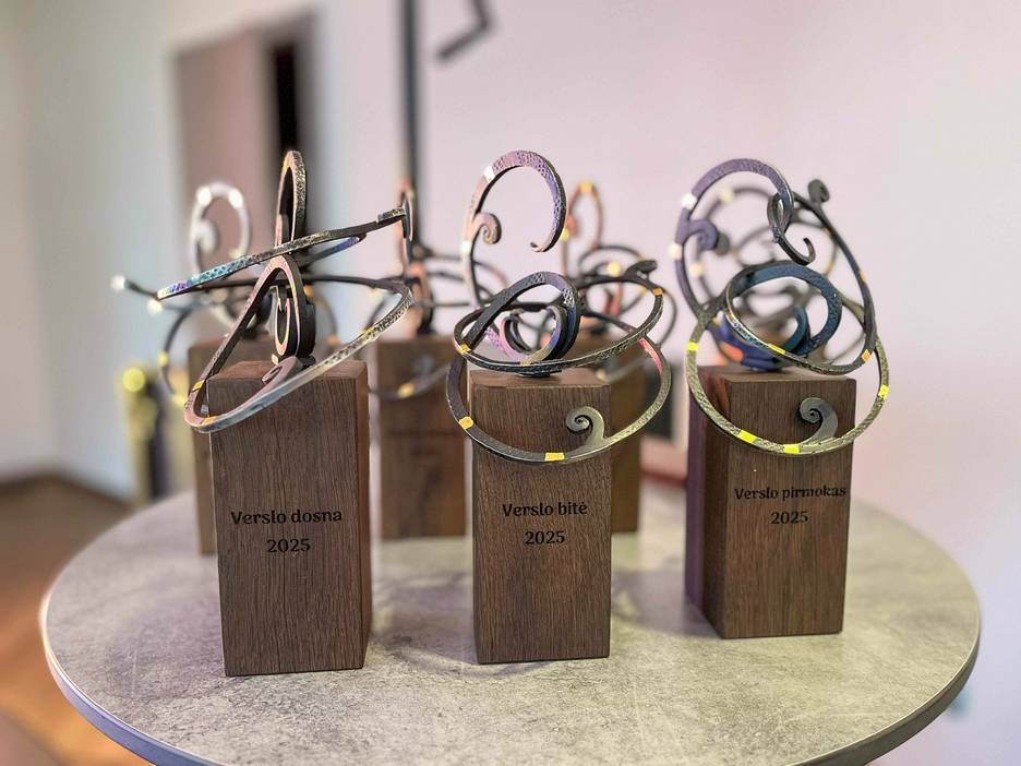 Šviesos ir šypsenų vakaras: Verslo nominacijos, kurios sujungia žmones