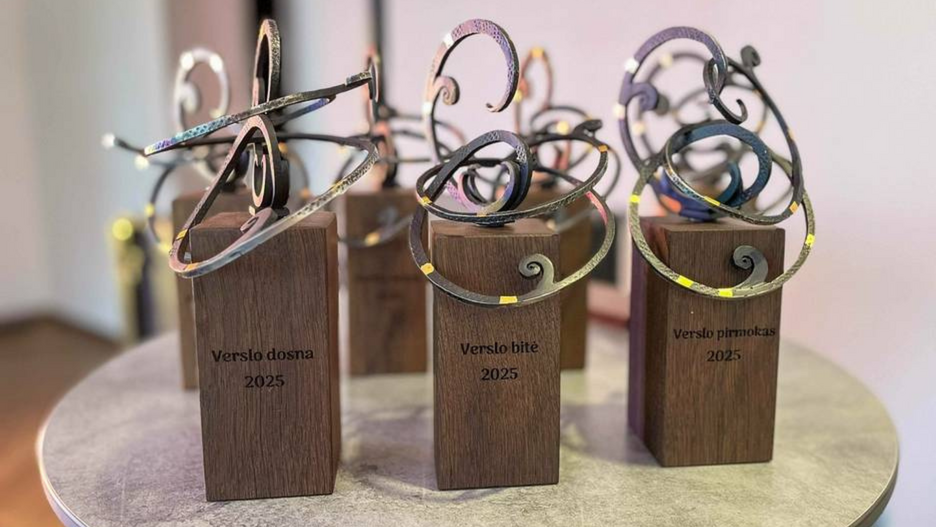 Šviesos ir šypsenų vakaras: Verslo nominacijos, kurios sujungia žmones