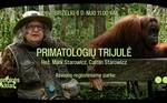 Sengirės kinas „Primatologių trijulė“