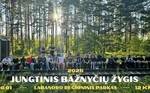 Jungtinis bažnyčių žygis