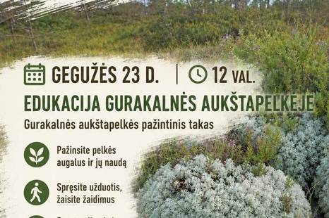Edukacija Gurakalnės aukštapelkėje