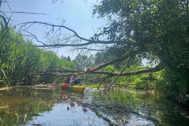 Alunta kayaks