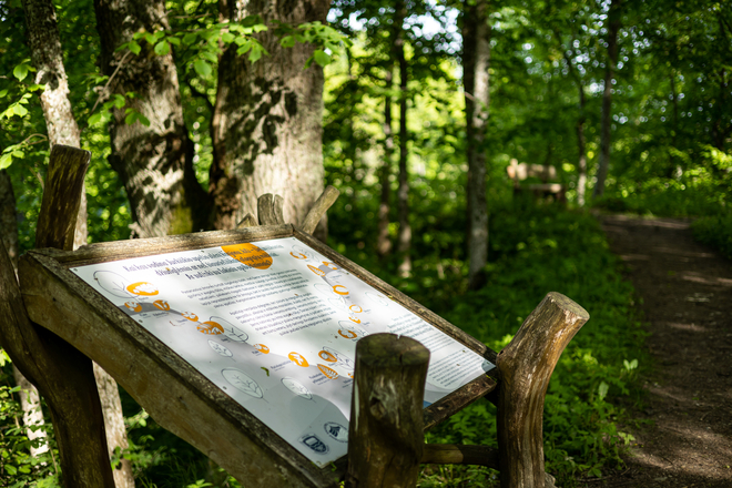 The Jurkiškis River Cognitive Trail