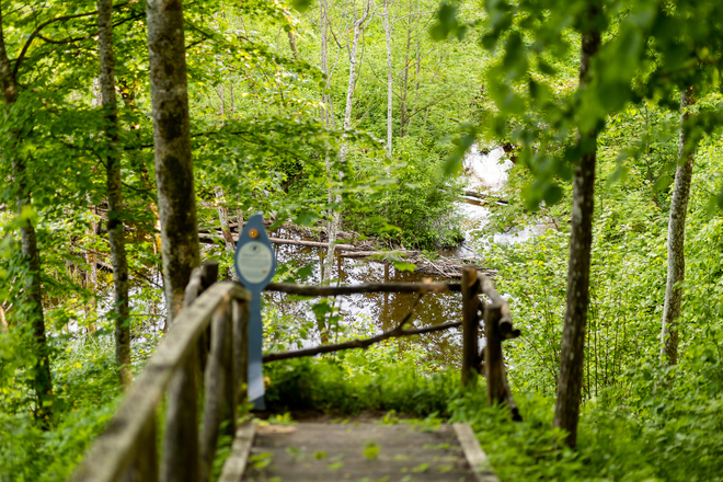 The Jurkiškis River Cognitive Trail