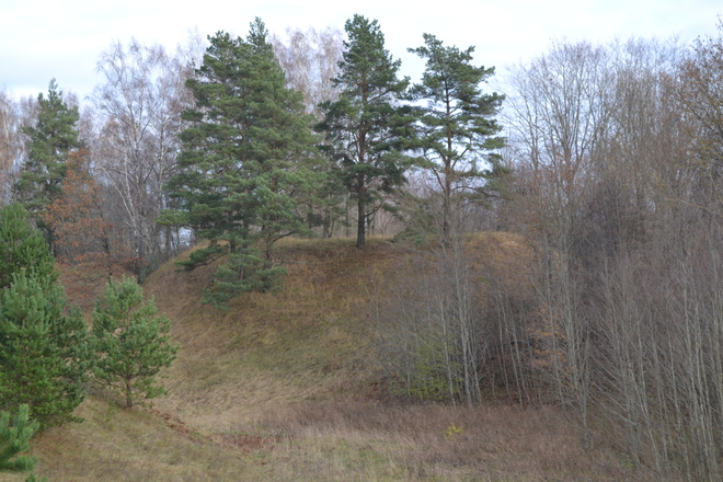 Tauragnai mound with the settlement