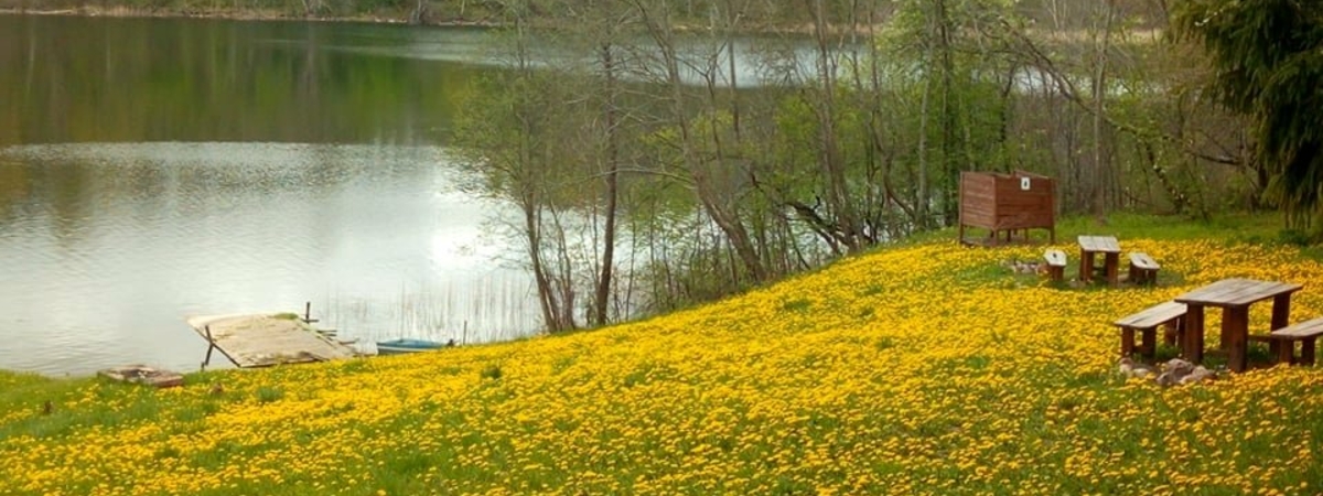 Campsites in Asveja Regional Park