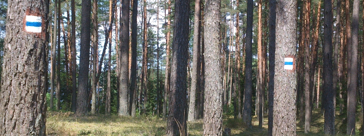 Westlicher blauer Fußgänger- und Fahrradring