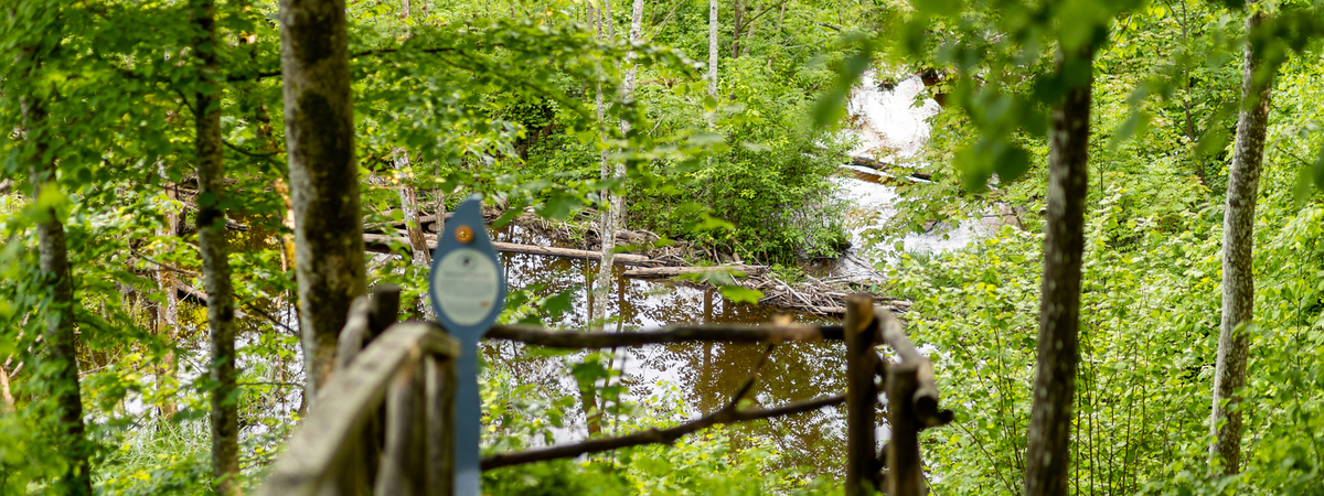 The Jurkiškis River Cognitive Trail