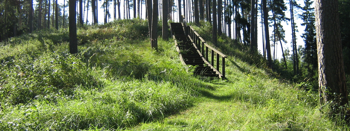 Grabhügel in Kertuoja