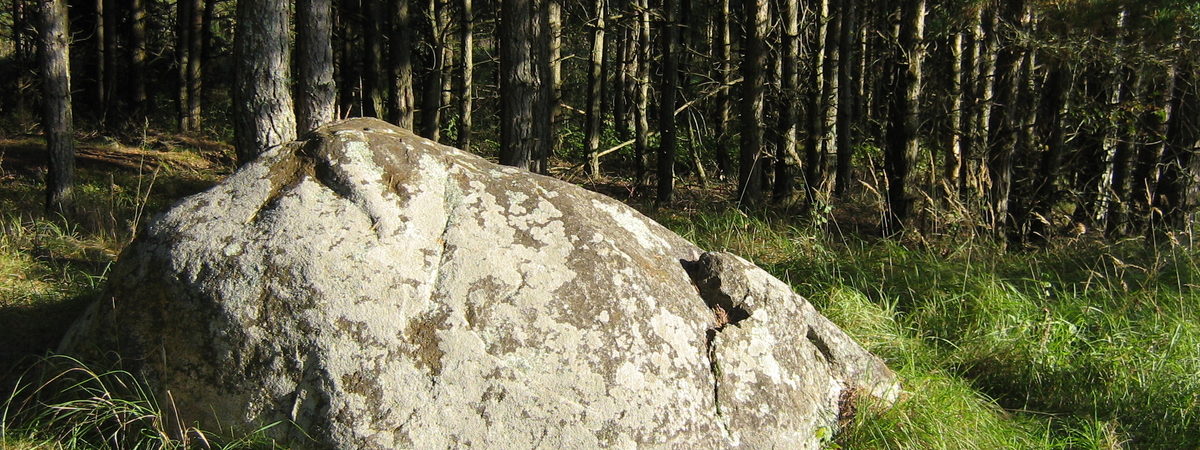 Stone of Kraujeliai (called a Sacred Stone)