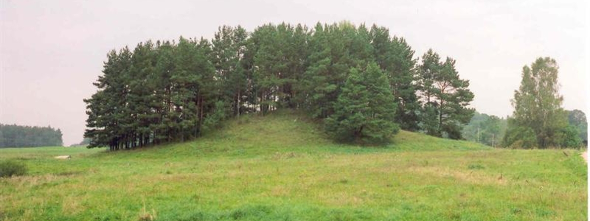 Wzgórze zamkowe w Svobiškėlis 