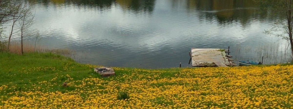 Swimming place - Lake Asveja, Dubingiai town
