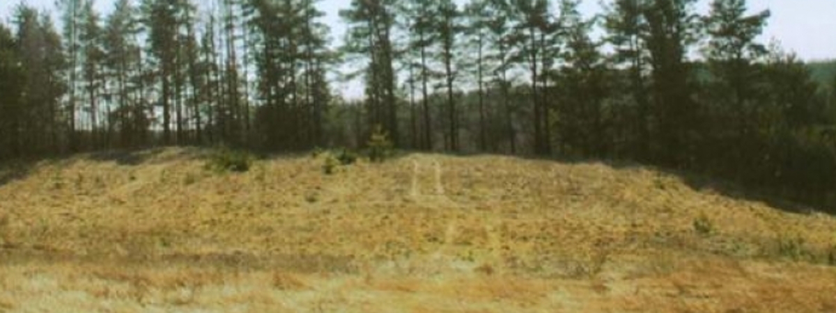 Čiulėnai Mound (called a Black Hill)