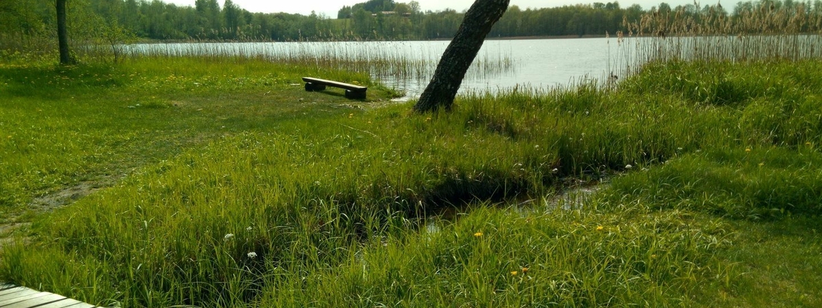 Miejsce do kąpieli - jezioro Duobio, Alanta mstl.