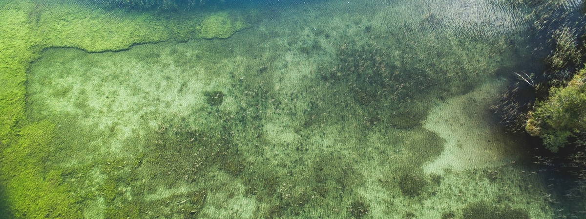 Two Ancient Underwater Pile Settlements of Luokesai