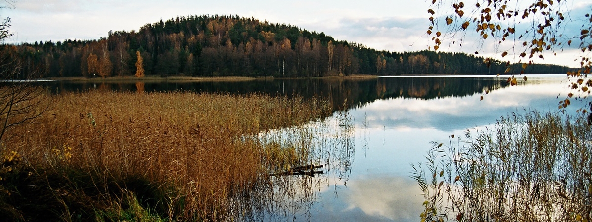 Wzgórze zamkowe w Kulionys 