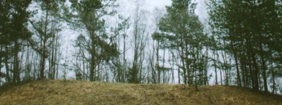 Wzgórze zamkowe w Maišiakulė 