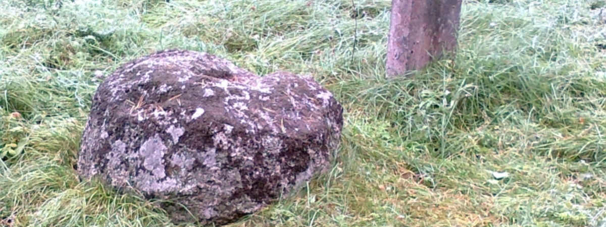 Камень с выемками в Падуобуже